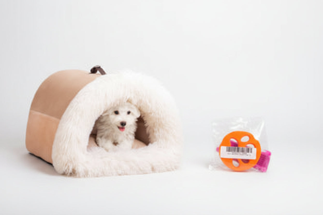 Calming Plush Pet Bed for Cats & Small Dogs shown with a small dog inside a cozy, semi-enclosed design for comfort.