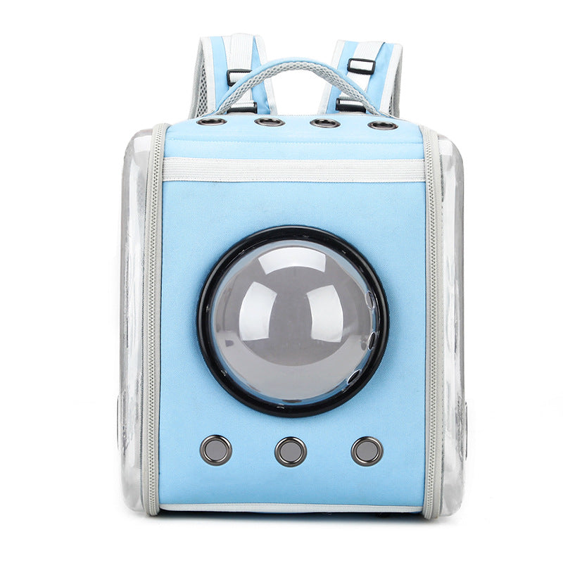 Moderner transparenter Katzenrucksack in Kapselform