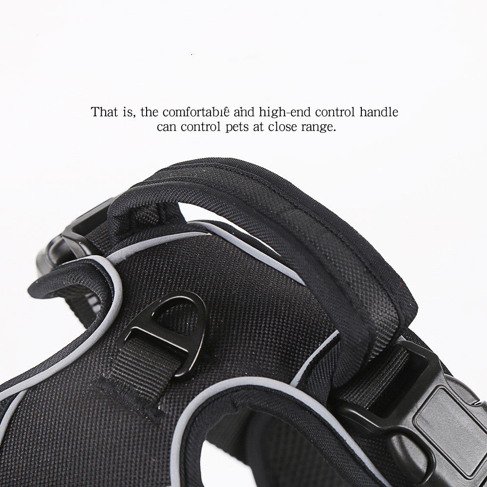 No Pull Dog Harness for Walking