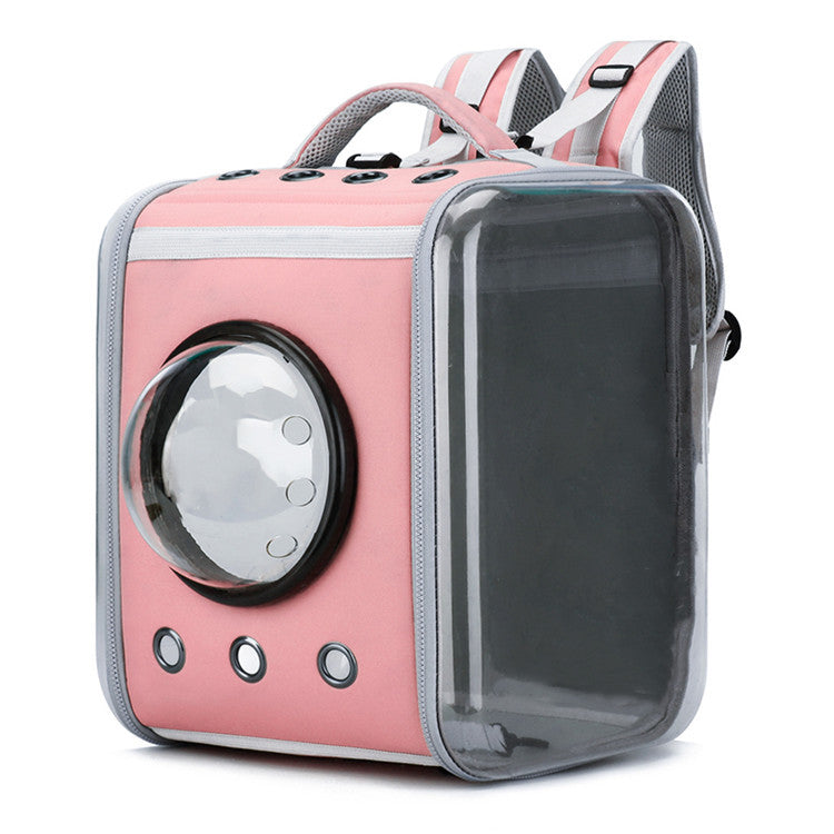 Moderner transparenter Katzenrucksack in Kapselform