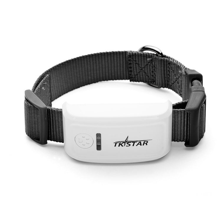 Professioneller GPS-Tracker für Haustiere