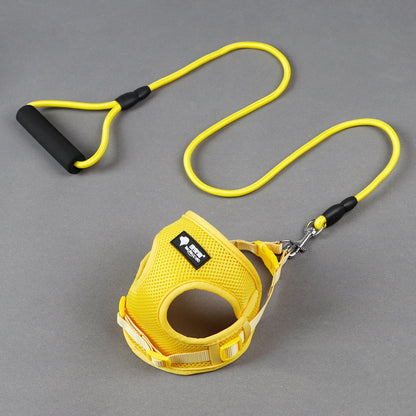 Bequemes Hundeleinen-Set mit Halsband
