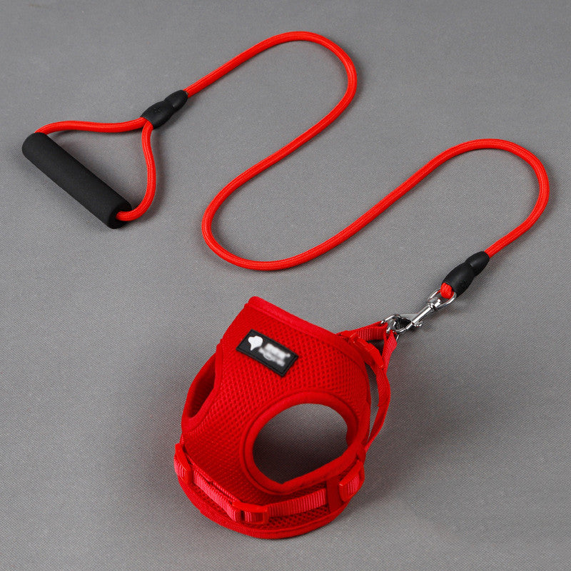 Bequemes Hundeleinen-Set mit Halsband