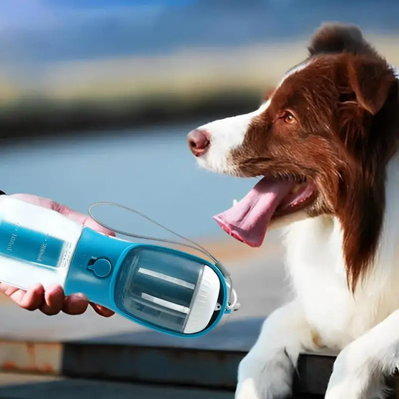 Multifunctional 3-in-1 Dog Water Cup