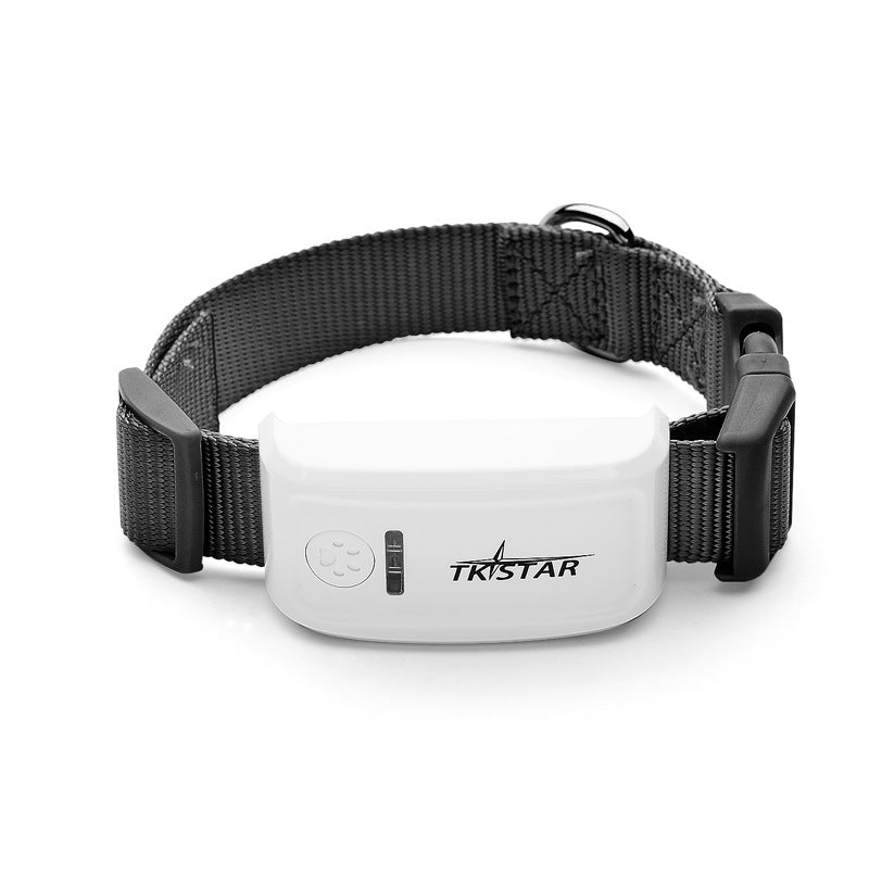 Professioneller GPS-Tracker für Haustiere