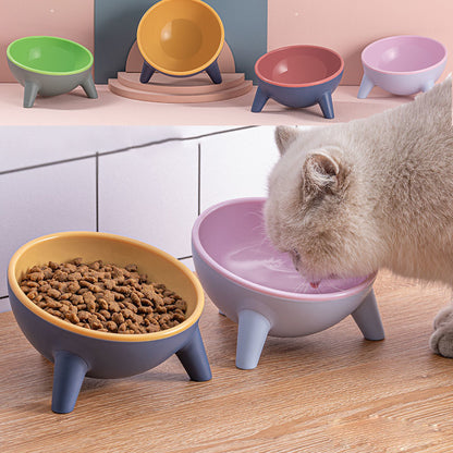 Ergonomic Elevated Bowl with 15 Degree Tilt