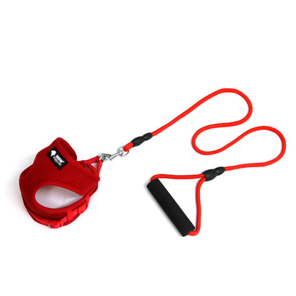 Bequemes Hundeleinen-Set mit Halsband