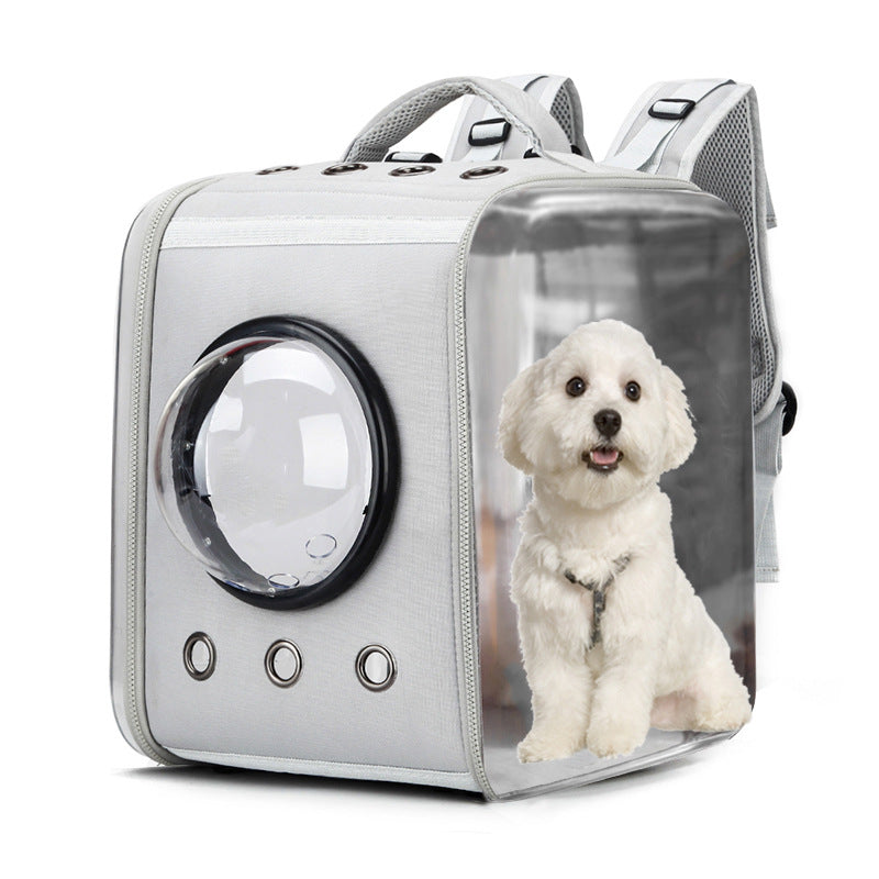 Moderner transparenter Katzenrucksack in Kapselform