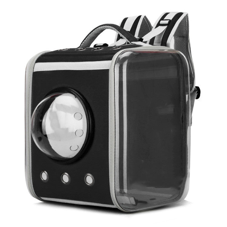 Moderner transparenter Katzenrucksack in Kapselform